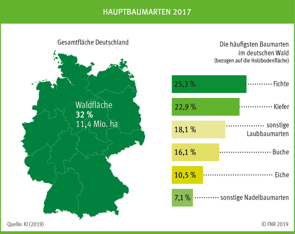 Hauptbaumarten 2017, FNR (Hrsg.)
