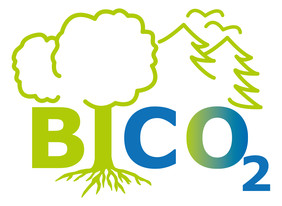 Logo des Waldklimafonds-Projektes "Biodiversität und Kohlenstoffspeicherung in Wäldern unterschiedlicher Nutzungsintensität" (BiCO2). Quelle: Banyoung, Sylvia