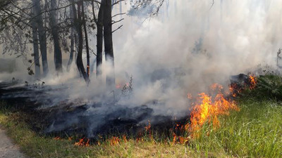 2018 brannten in Deutschland mehr als 2.300 Hektar Wald, wie hier auf einem Truppenübungsplatz in der Nähe von Lübtheen. Foto: J. Schröder, Landesforst MV