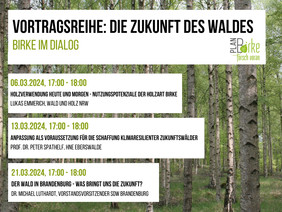 Das Projekt PlanBirkePlusC bietet im März eine Vortragsreihe zum Thema „Die Zukunft des Waldes - Birke im Dialog “ an. Foto: H. J. Arndt
