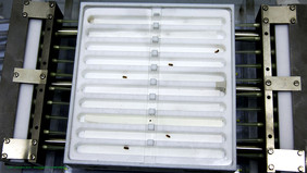 Die Geräte, mit denen die Geruchsproben den Käfern (hier Ips typographus) dargeboten werden, heißen Olfaktometer. 
Quelle: Lena-Marie Simon, Georg-August-Universität Göttingen