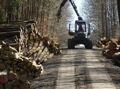 Das erhöhte Schadholzaufkommen belastet auch die Forstwege. Im Projekt Contura wird ein optisch basiertes System entwickelt, das vorausschauende Kostenplanung zur Wege-Instandhaltung ermöglicht. Foto: FNR/M.Kühling