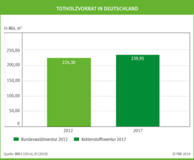 Die Menge an Totholz in den deutschen Wäldern steigt. Die Alt- und Totholzkonzepte der Forstwirtschaft zeigen Wirkung. 