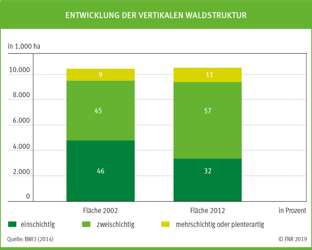 Entwicklung der vertikalen Waldstruktur, FNR (Hrsg.)