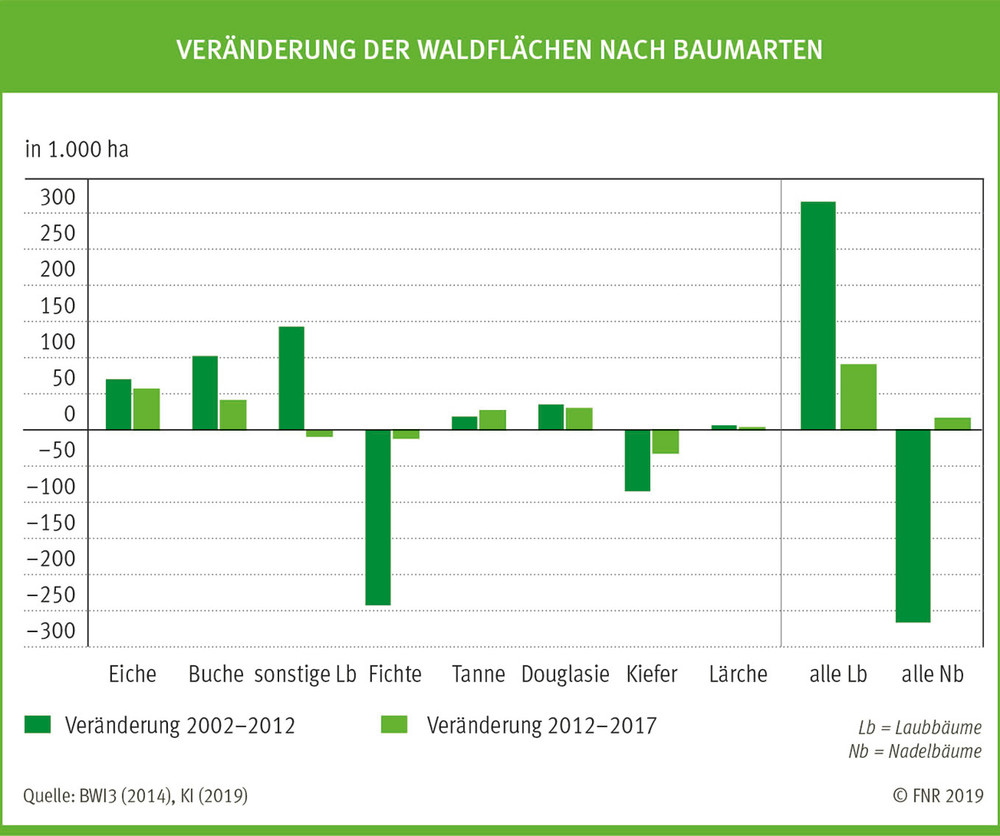 Veränderung der Waldfläche nach Baumarten, FNR (Hrsg.)