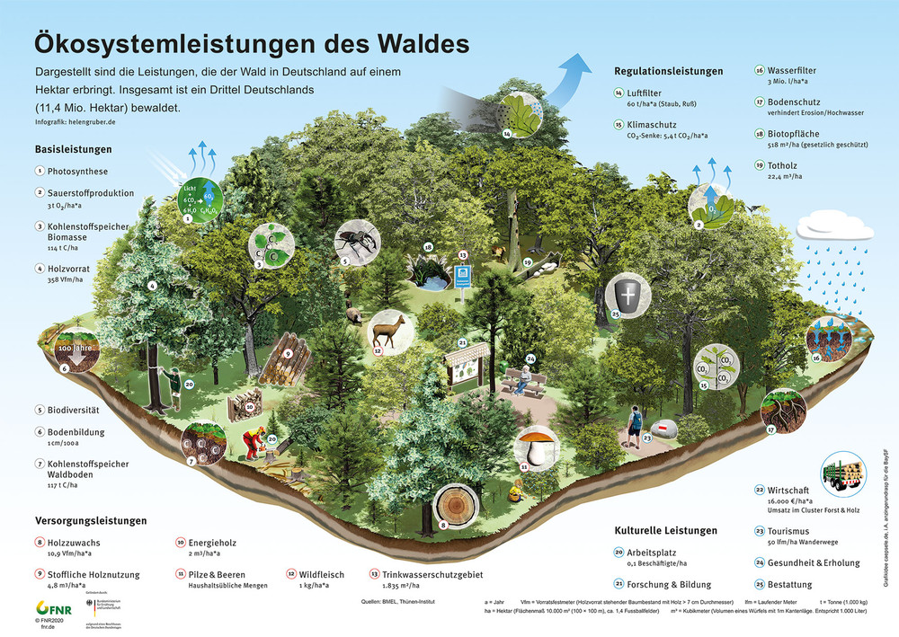 Infografik Ökosystemleistungen