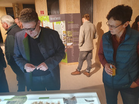 In einer interaktiven Ausstellung stellen die Projektteilnehmer das Potenzial der „Dame des Waldes“ vor. Foto: SDW Brandenburg