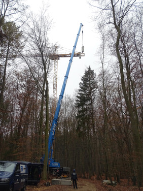 Durch seine 45 Meter Höhe ermöglicht der Kran Untersuchungen im Kronenraum des Altbaumbestandes. Foto: GFZ                               
