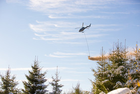 Bodenschutzkalkung im Wald mit einem Helikopter. Foto: Landpixel Bildagentur