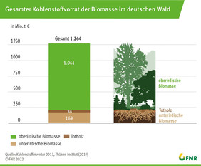 Der deutsche Wald speichert insgesamt 1.264 Mio. Tonnen Kohlenstoff in unter- und oberirdischer Biomasse sowie Totholz.